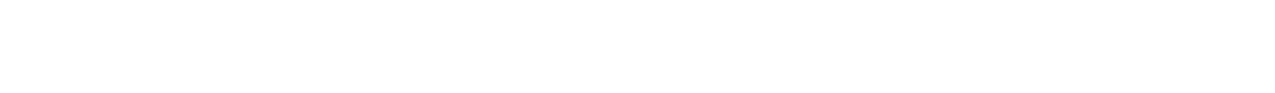 Hyundai TransleadLogo